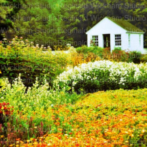 Vibrant landscape photograph of a small white house in the distant meadow