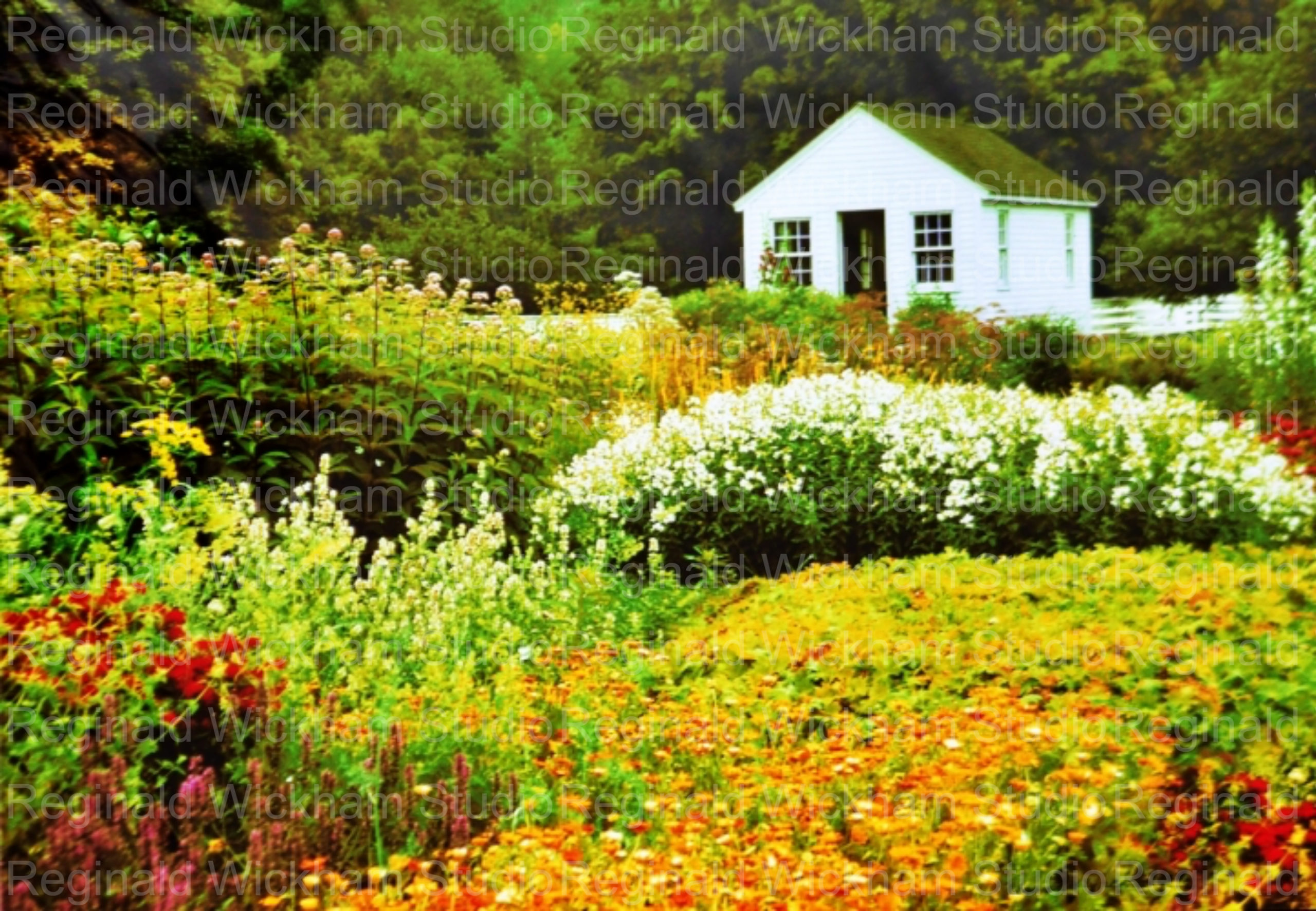 Vibrant landscape photograph of a small white house in the distant meadow