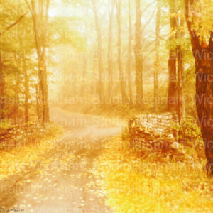 Wall art photography of a dirt road through the forest in autumn