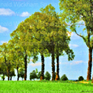 Beautiful photograph of trees in a meadow