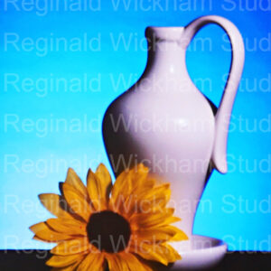 Art for sale, a picture of a white porcelain pitcher with a sunflower at the base