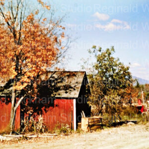 photo of red barn in the rural autumn