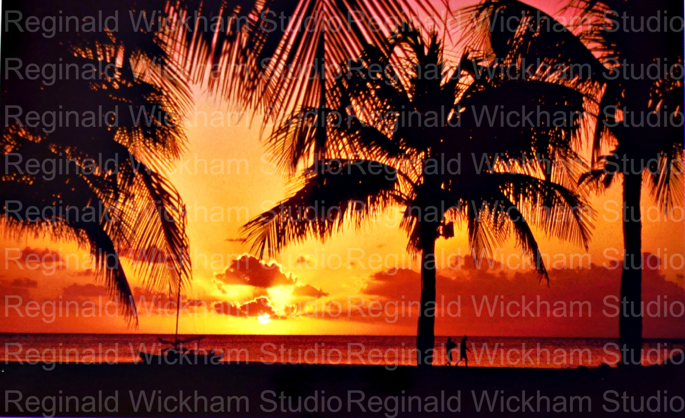 Beautiful photograph of silhouetted palm trees overlooking an ocean sunset