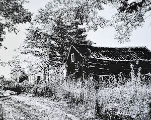 Traditional House in a rural setting with trees and shed. Rural living.