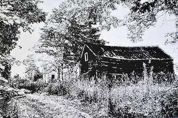 Traditional House in a rural setting with trees and shed. Rural living.