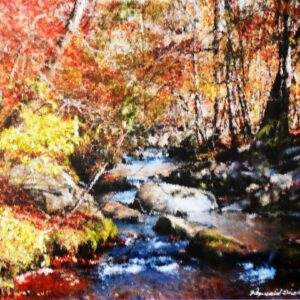 Photograph of a blurry creek. Original Artwork. Rustic colored outdoor picture